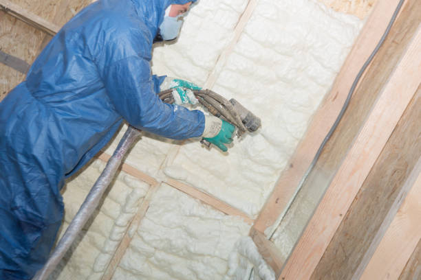 Best Insulation Air Sealing  in Hauser, ID